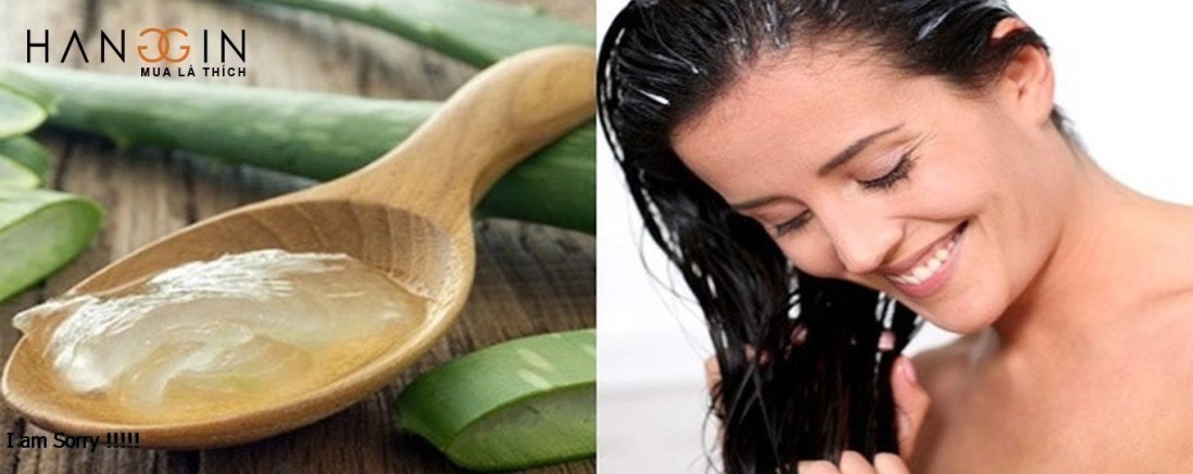 [+7] Cách trị gàu bằng nha đam đơn giản hiệu quả