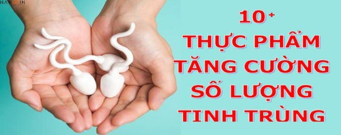 15 thực phẩm tăng chất lượng tinh trùng tốt nhất cho phái mạnh