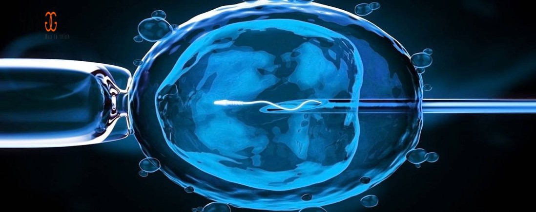 Vợ chồng vô sinh hiếm muộn có nên áp dụng ivf-thụ tinh trong ống nghiệm
