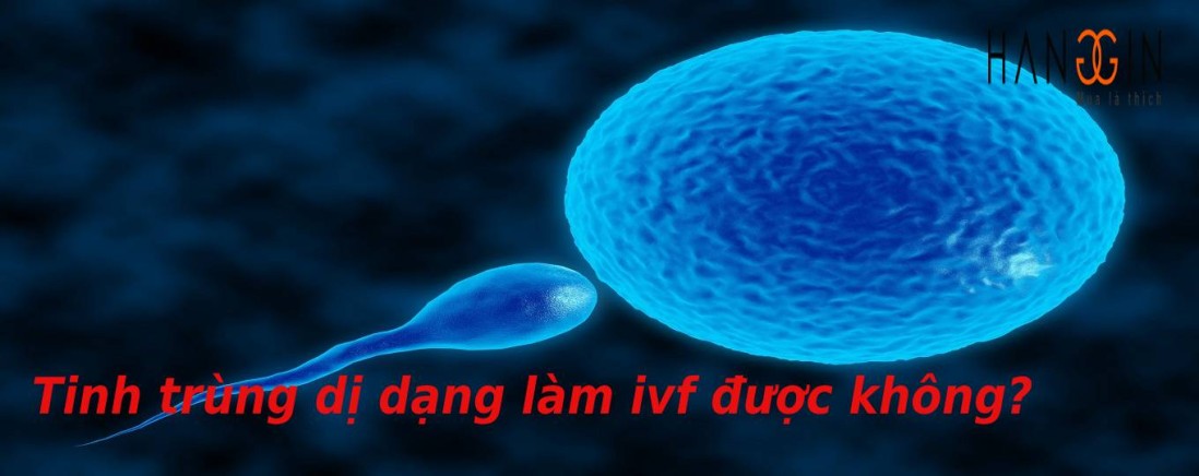 [Giải đáp] Tinh trùng dị dạng làm ivf tăng khả năng có con được không?