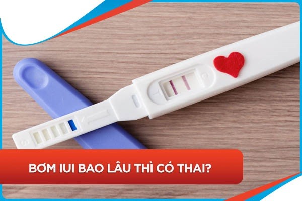 Giải đáp: Bơm tinh trùng bao lâu thì biết có thai chính xác?