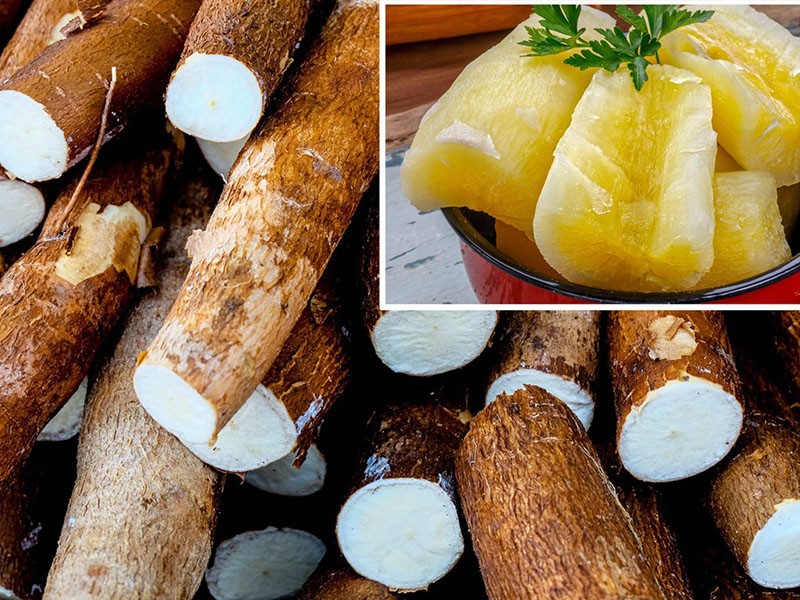 Người bệnh tiểu đường ăn khoai mì có được không?