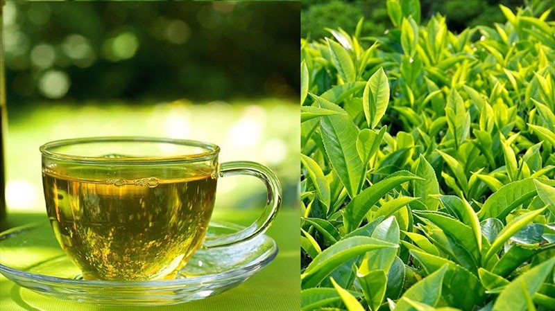 Người tiểu đường uống trà có được không?