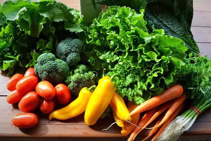 Top 5 thực phẩm ngừa tiểu đường cực hiệu quả