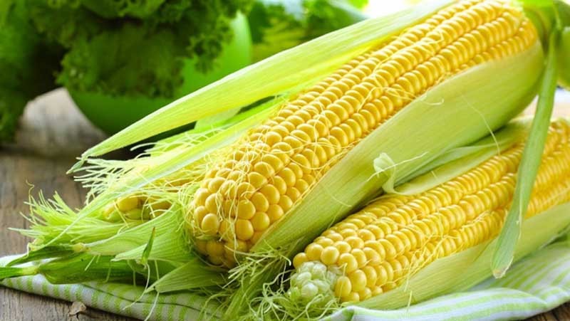 Mẹ bầu bị tiểu đường thai kỳ ăn bắp được không?