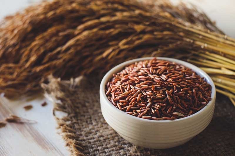 Tiểu đường thai kỳ ăn gạo lứt được không?