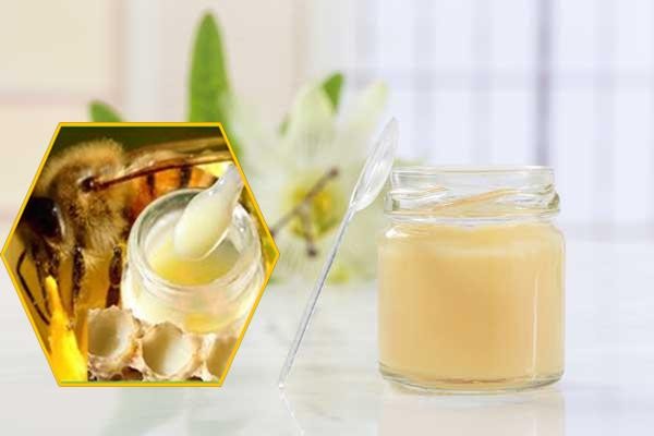 Tiểu đường uống sữa ong chúa được không?
