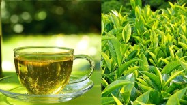 Người tiểu đường uống trà có được không?