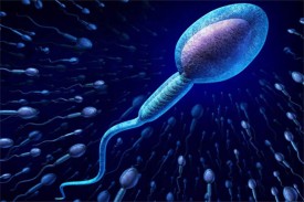 Bị tiểu đường có ảnh hưởng đến tinh trùng của nam giới không?