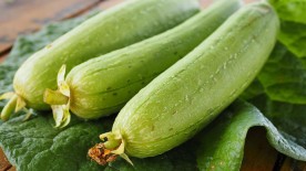 Phương pháp chữa tiểu đường bằng mướp hương hiệu quả
