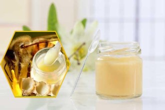 Tiểu đường uống sữa ong chúa được không?