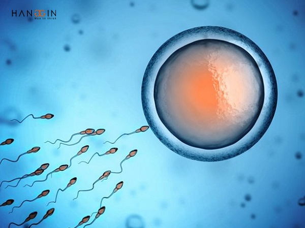 Tinh trùng ít - khả năng ảnh hưởng đến khả năng sinh con