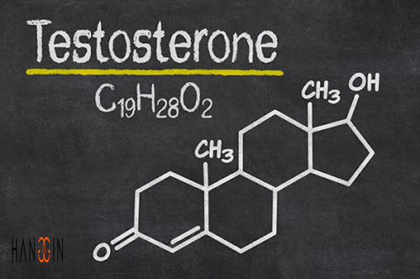 Siloflam 50 tác dụng đến lượng testosterone tự nhiên