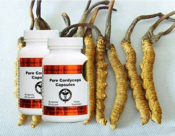 Pure Cordyceps – viên uống đông trùng hạ thảo của Mỹ