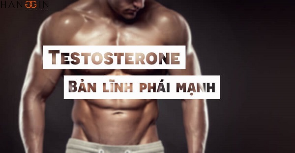 Tăng testosterone, hoocmon nam với 9 thực phẩm phẩm chức năng, viên uống