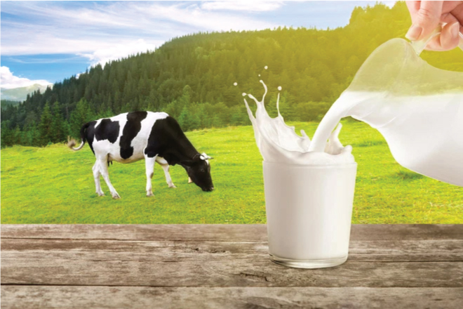 Cách uống sữa bò an toàn cho người bệnh tiểu đường